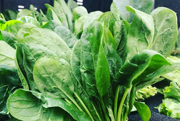 green leafy vegetables
