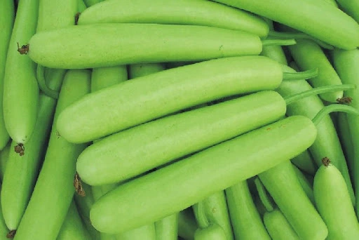 Farmson Bottle Gourd Seeds