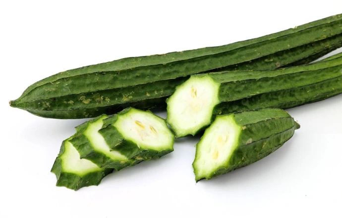 Ridhe Gourd Seeds Store
