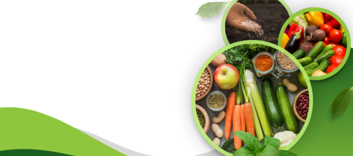 FARMSON BIOTECH SEEDS PRODUCT FROM INDIA