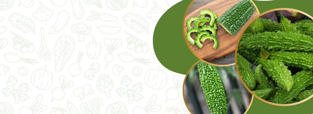 F1 Hybrid Bitter Gourd Seeds