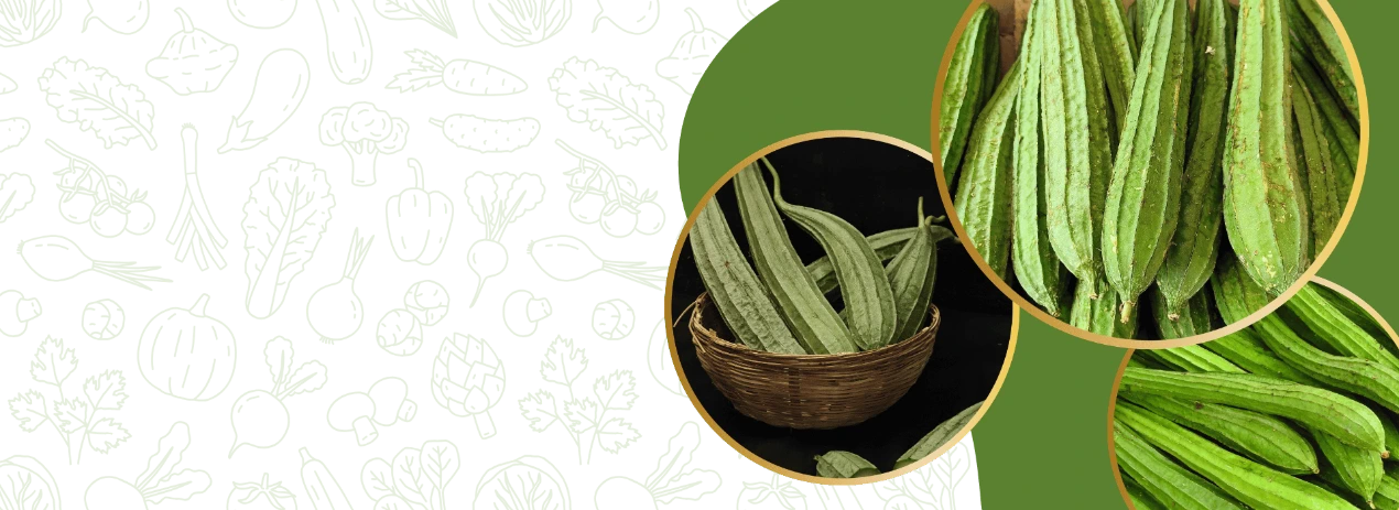 Hybrid Ridge Gourd Seeds