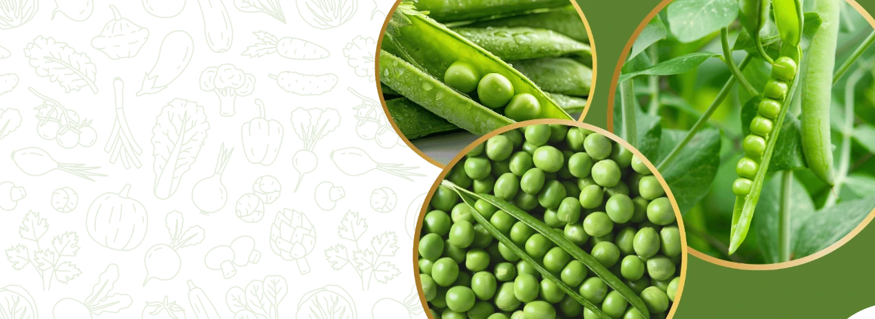Sweet Peas Seeds