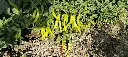 IMG_20221116_091250.webp