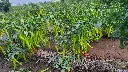 20221110_174538.webp