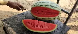IMG_20240517_153949.webp