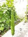 20220315_133352.webp
