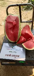 IMG_20240517_154425.webp