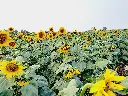 20220116_174401.webp