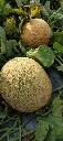 IMG_20240517_164500.webp
