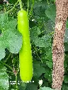 20211229_154752.webp