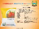 Orange Capsicum.webp
