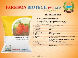Orange Capsicum.webp