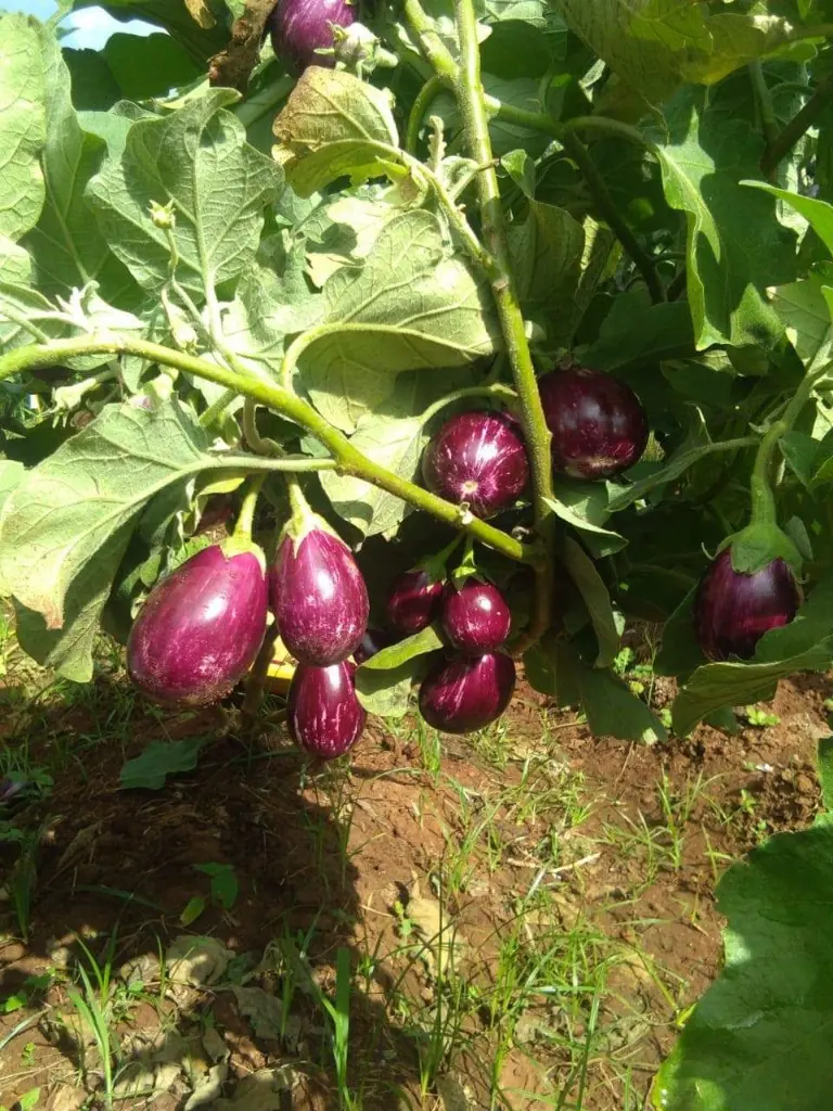 WhatsApp Image 2022-07-22 at 11.55.44 AM (1).webp