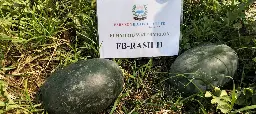 IMG_20240517_145033.webp