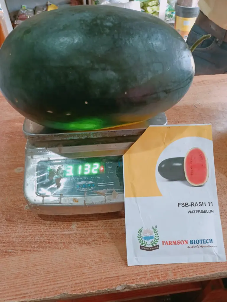 WhatsApp Image 2023-03-23 at 14.58.34s.webp