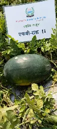 IMG_20240517_145144.webp
