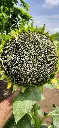 20220613_115943.webp