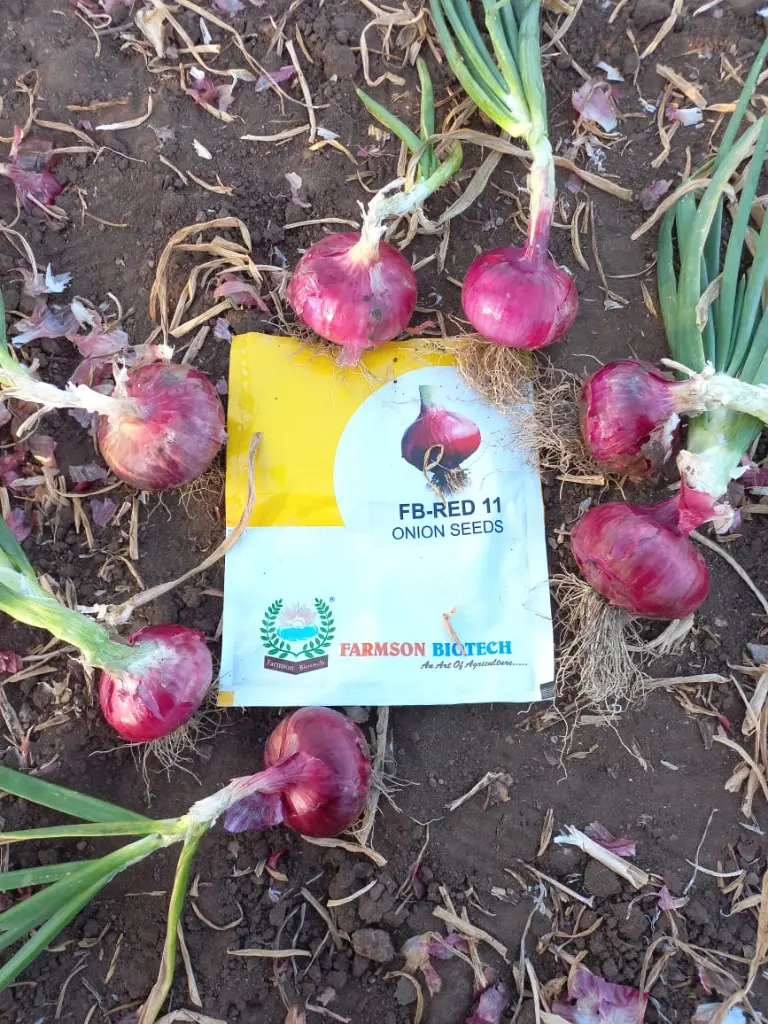 3red 11 - Copy (2).webp