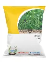90 Cowpea Kirti.webp