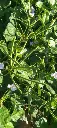 16.webp