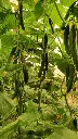 IMG-20240319-WA0086.webp