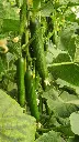 IMG-20240319-WA0091 - Copy.webp