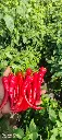 IMG-20240413-WA0013.webp