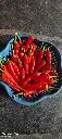 IMG-20240413-WA0009.webp