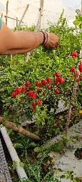 IMG_20231213_153313_282.webp