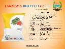 Carrot.webp