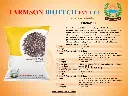 FB- NAPIER GRASS SEEDS.webp