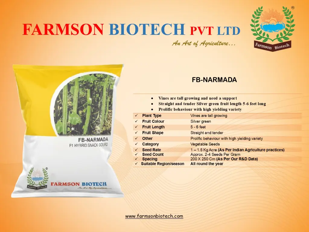 NARMADA.webp
