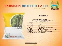 NARMADA.webp