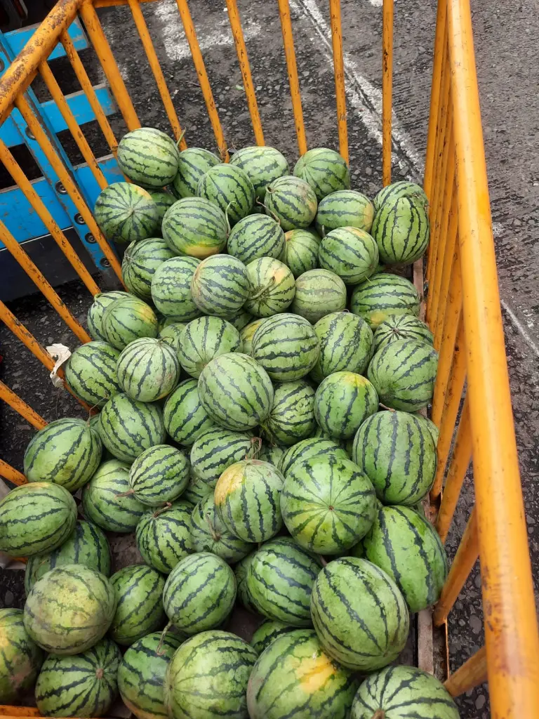 WhatsApp Image 2024-03-19 at 15.59.15_283e399a.webp