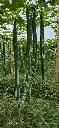 WhatsApp Image 2024-05-08 at 19.12.08_409c0418.webp