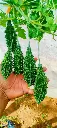 sDdNp8Jb.webp