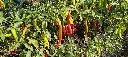 IMG_20221115_100928.webp