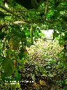 20220105_160232.webp