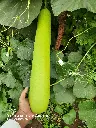 20220105_160045.webp