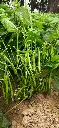 FB-119.webp