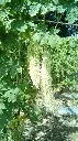 IMG-20170922-WA0094.webp