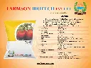 Jambo.webp