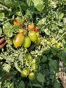 IMG_20250126_102329_673.webp
