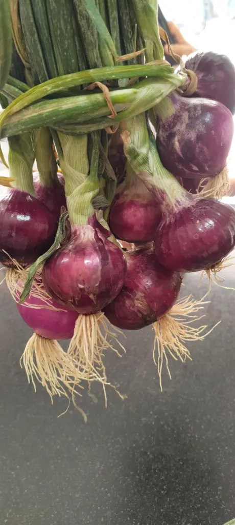 WhatsApp Image 2025-03-13 at 10.48.12_8b3a838b.webp