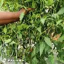 WhatsApp Image 2025-06-20 at 15.48.55_03fec42c.webp