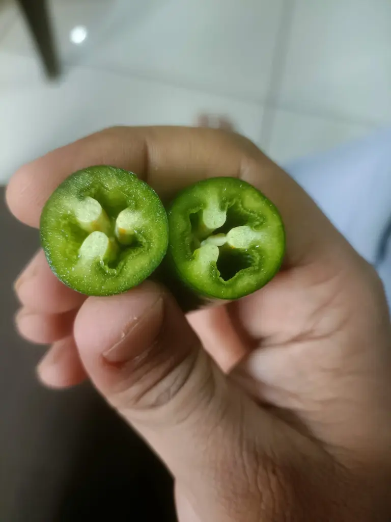 WhatsApp Image 2023-03-27 at 16.35.52a.webp