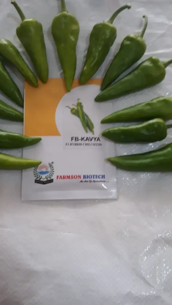 WhatsApp Image 2022-08-08 at 5.11.07 PM.webp