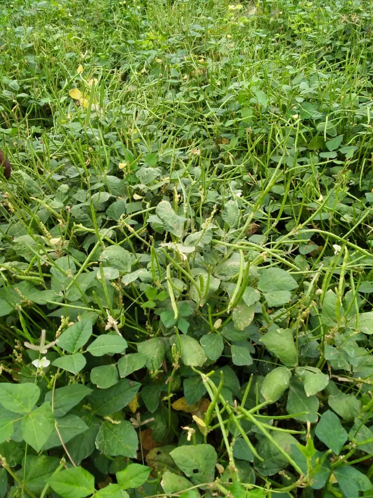 WhatsApp Image 2023-10-03 at 10.11.53_072746f3.webp