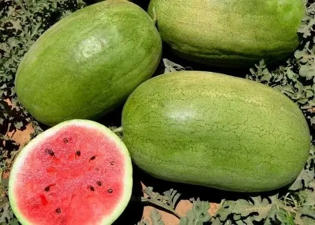 WhatsApp Image 2024-04-06 at 14.53.30_08b7fab0.webp